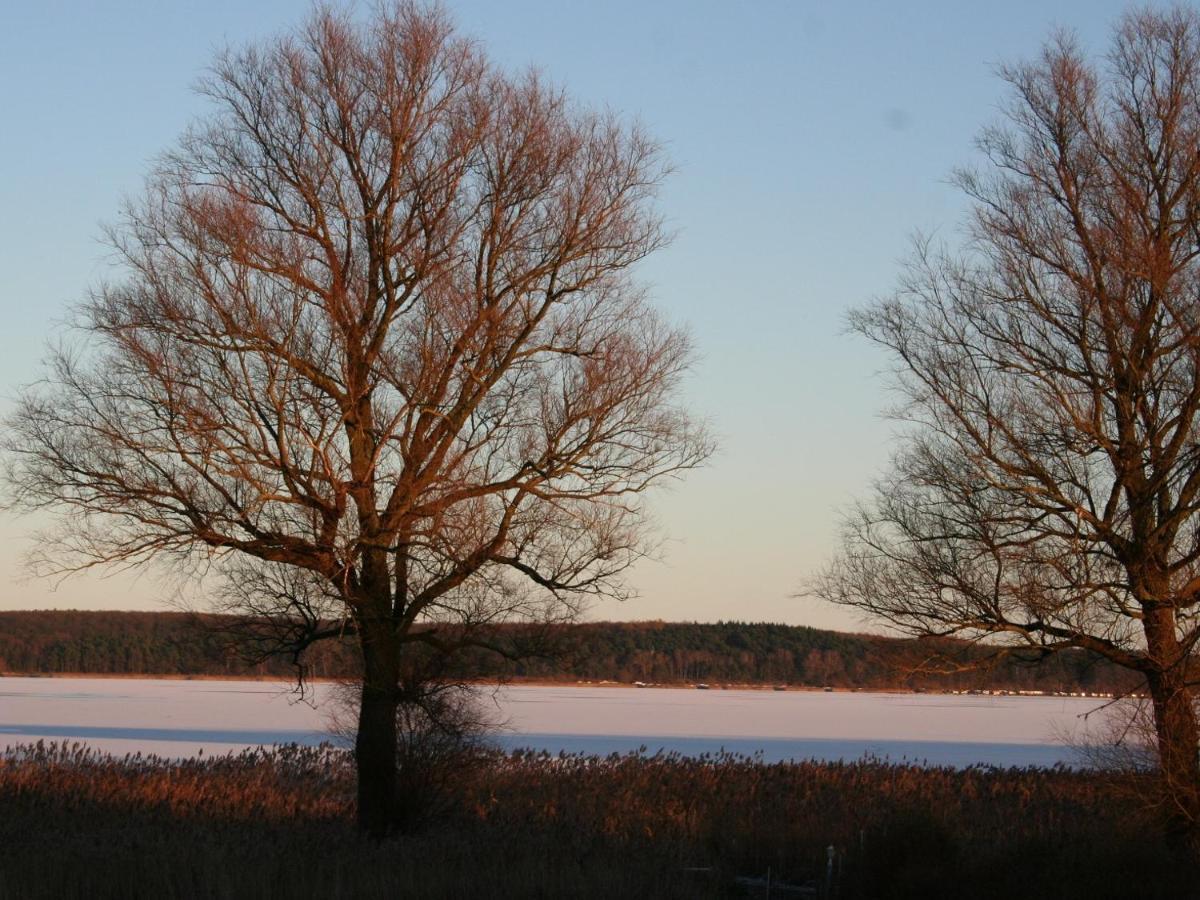 Apartament Ilonas Seeblick Plau am See Zewnętrze zdjęcie